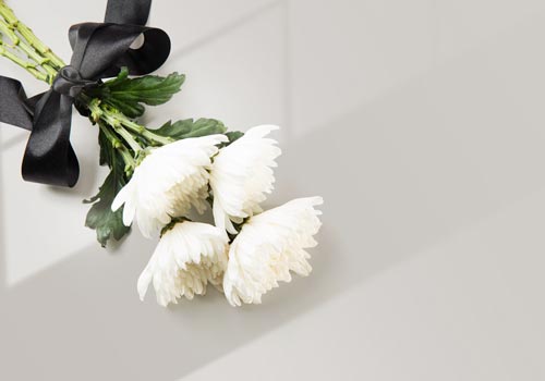 뉴스 썸네일이미지